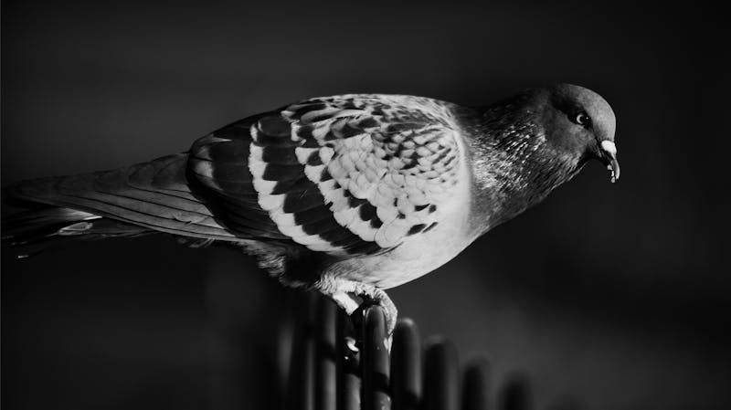 Analiză plan de intervenție - discuție echipă