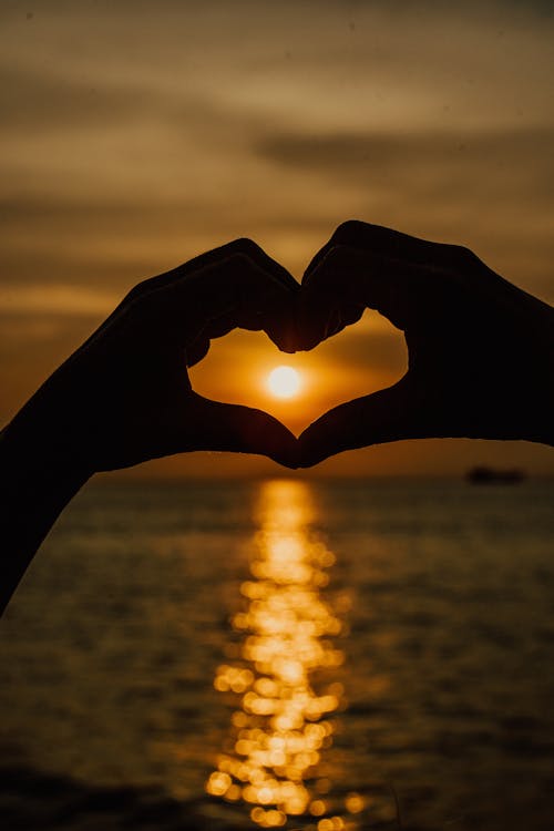 Free Silhouette of Person's Hands Forming a Heart Shape  Stock Photo