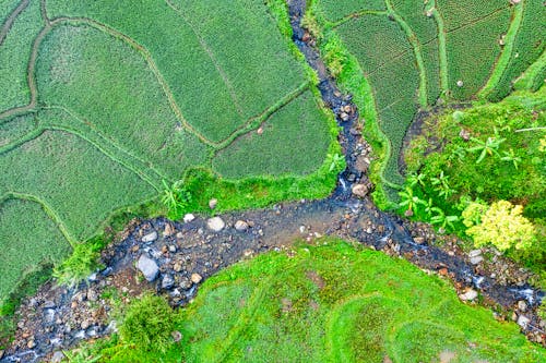 Foto d'estoc gratuïta de abundància, aeri, agricultura