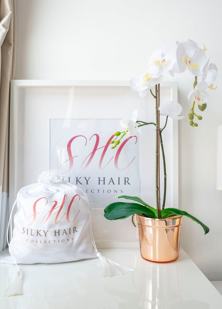 White Moth Orchids In Copper Flower Pot