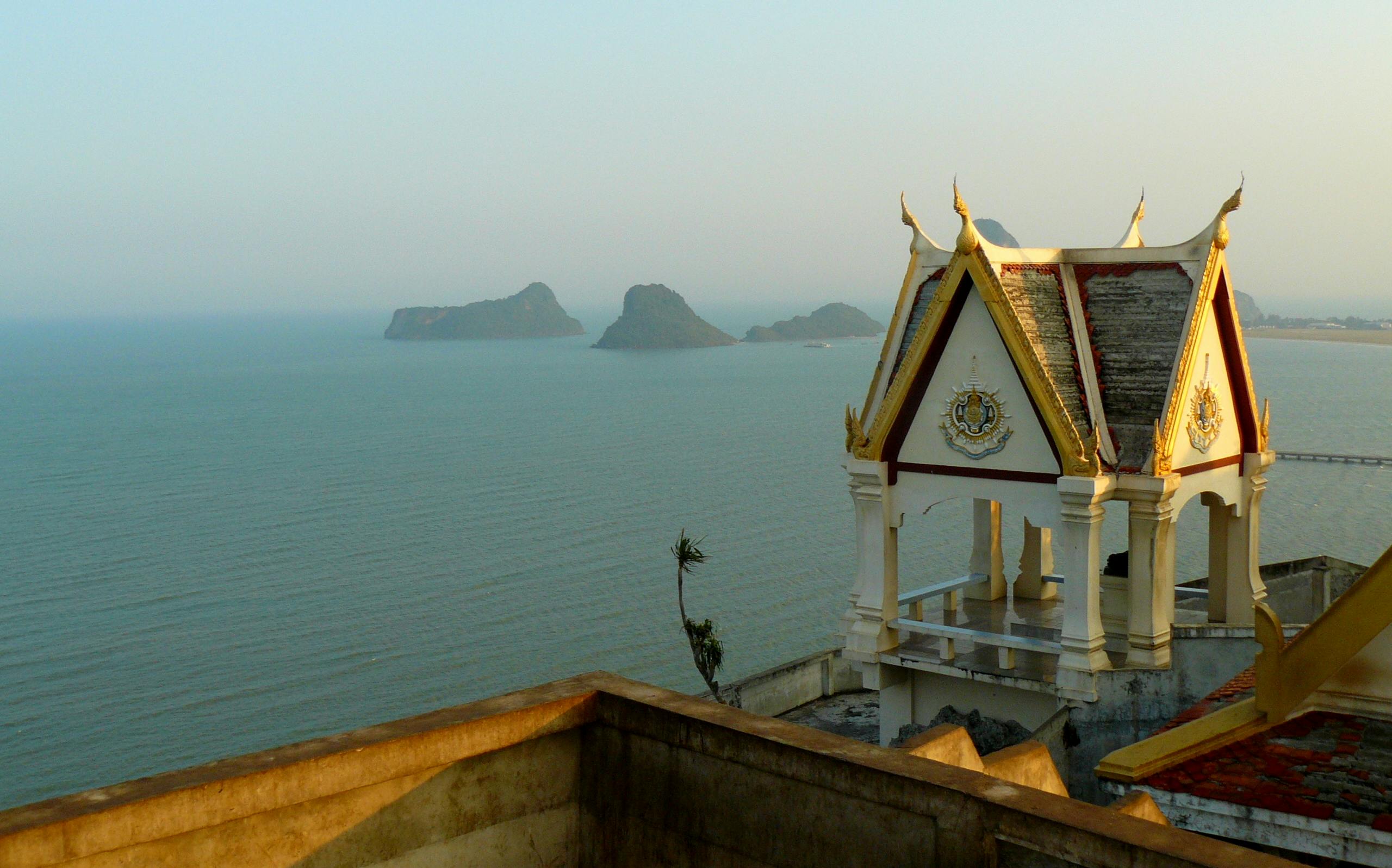 Free stock photo of anaconda, Bolivia, jungle