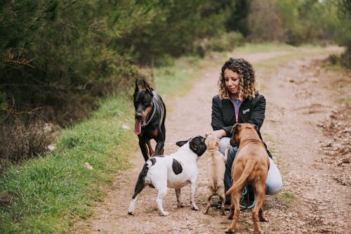 Free Woman in Purple Jacket Standing Beside White and Black Short Coat Dog Stock Photo
