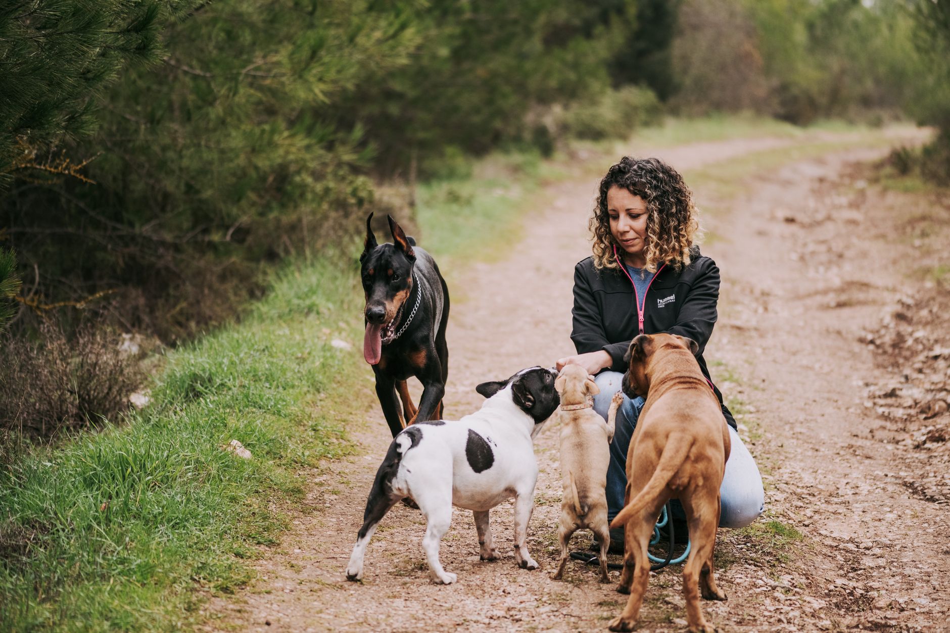 Woman interacting with dogs on a forest path during a walk — dog minding prices