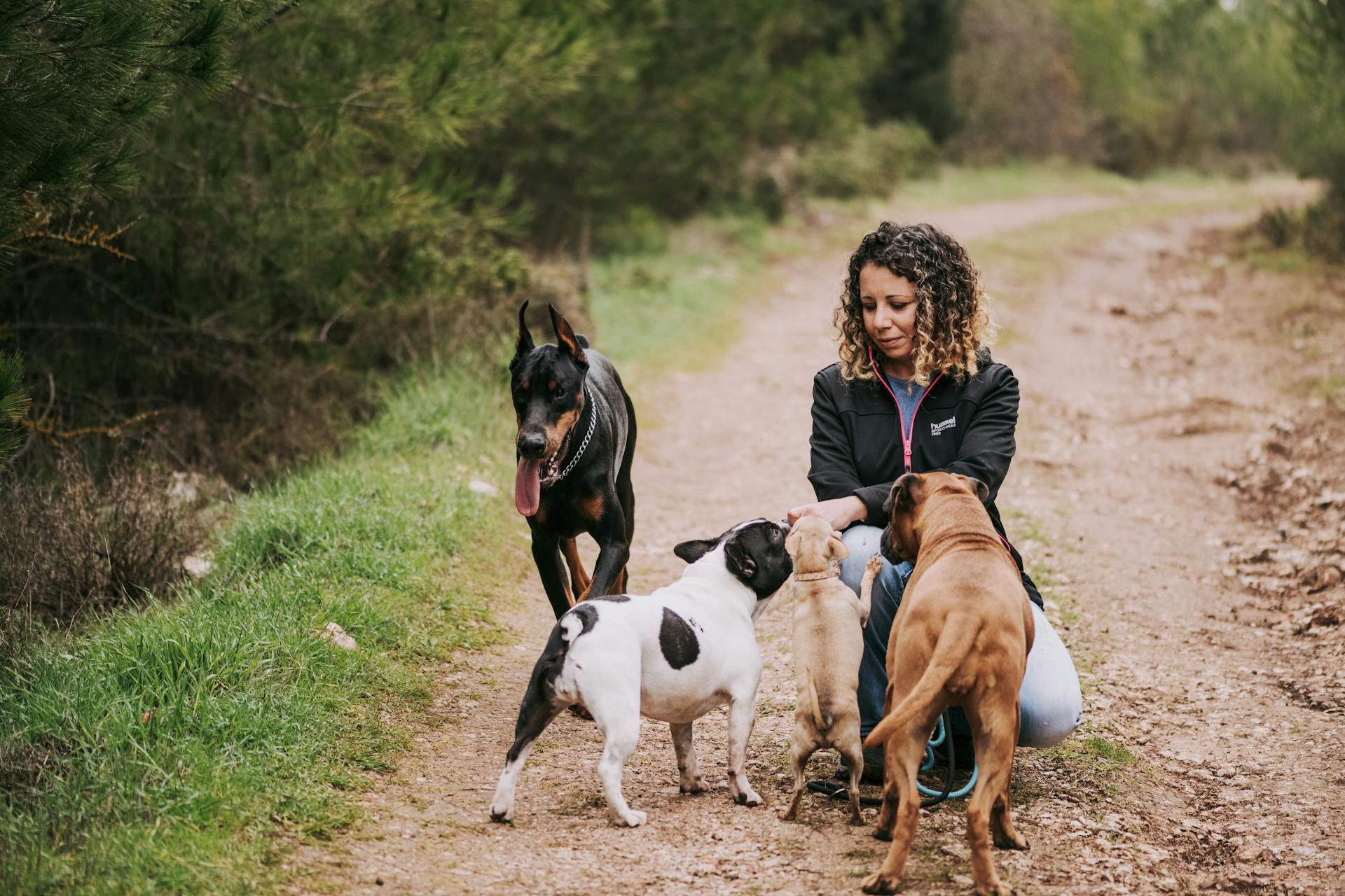 Woman Crouching on Path with Dogs