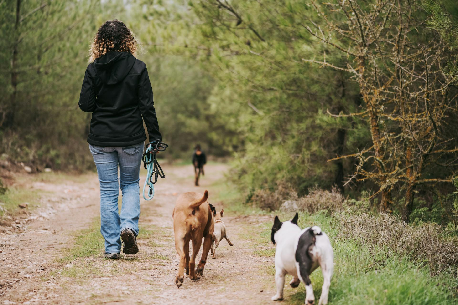 A Women with Dogs in a Forest