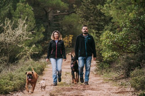 Free Man and woman walking with dogs on a forest trail, enjoying nature. Stock Photo