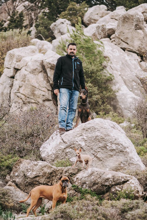 Ilmainen kuvapankkikuva tunnisteilla kallio, kiipeily, koira