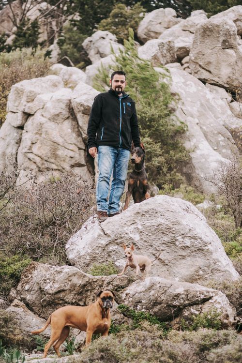 Free A man stands on rocks with three dogs, surrounded by rugged mountain scenery, embracing nature. Stock Photo