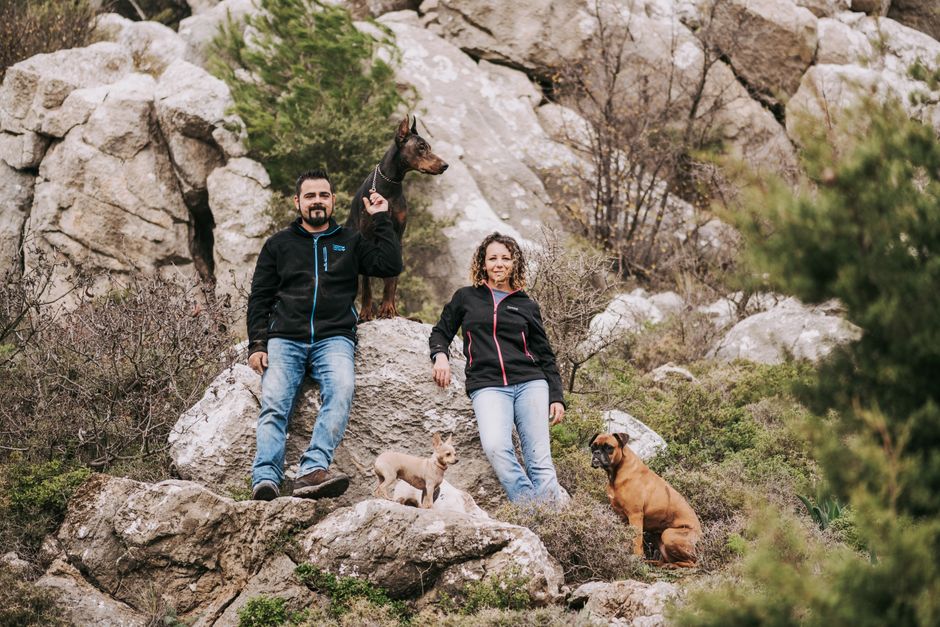 Guía práctica de perro camina borracho ladea cabeza para dueños responsables - 4 Guía práctica de perro camina borracho ladea cabeza para dueños responsables - 4