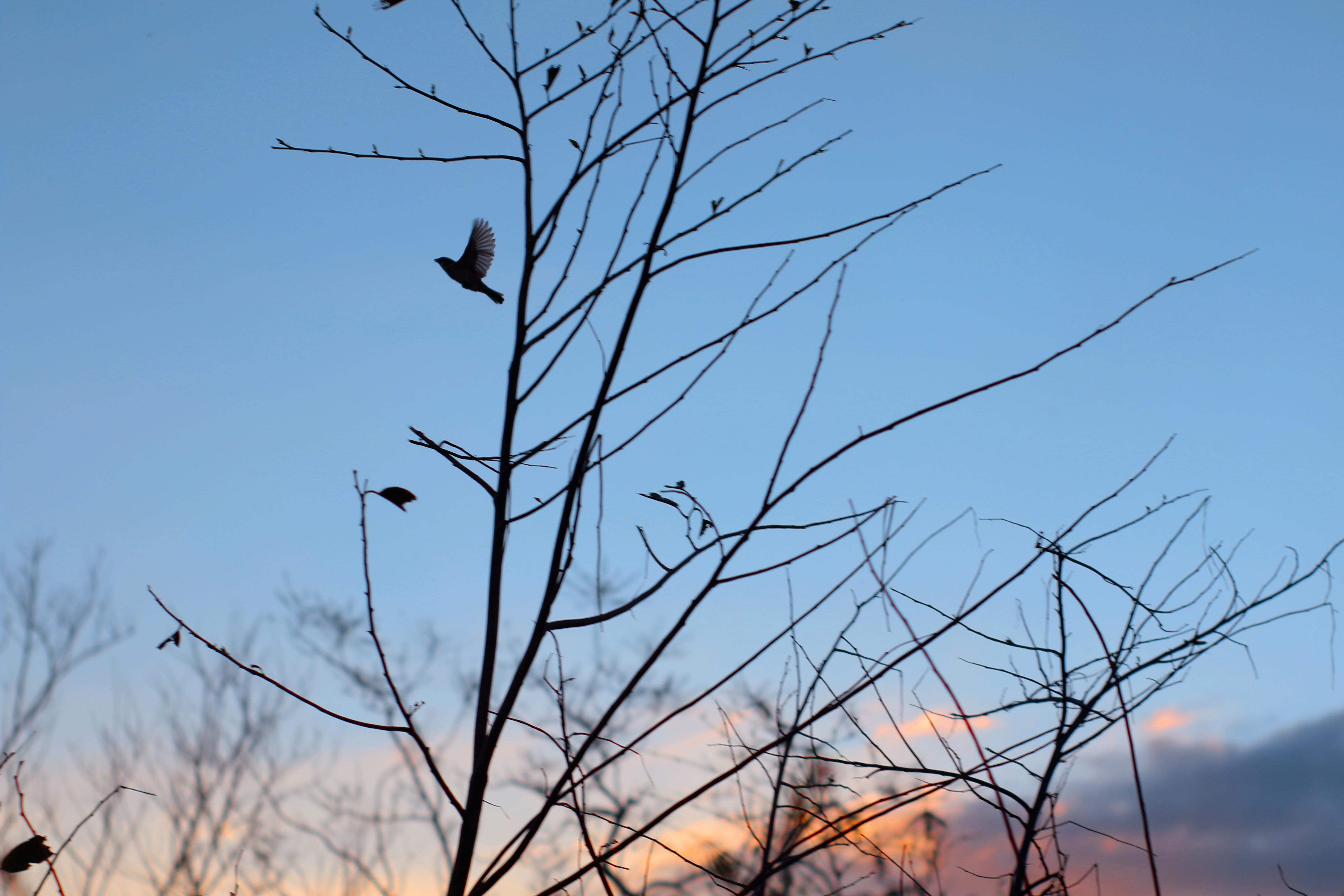 cannabis drink lifestyle