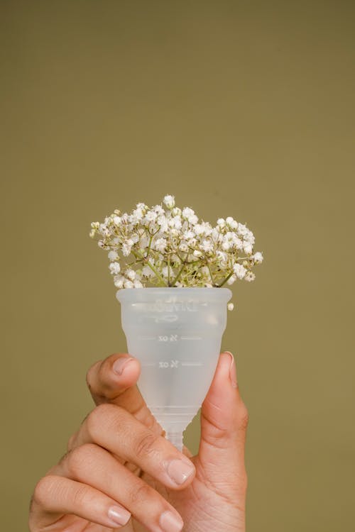 Free Crop unrecognizable female demonstrating reusable menstrual cup with small fresh white flowers against beige background Stock Photo
