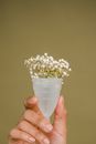 Crop unrecognizable female demonstrating reusable menstrual cup with small fresh white flowers against beige background