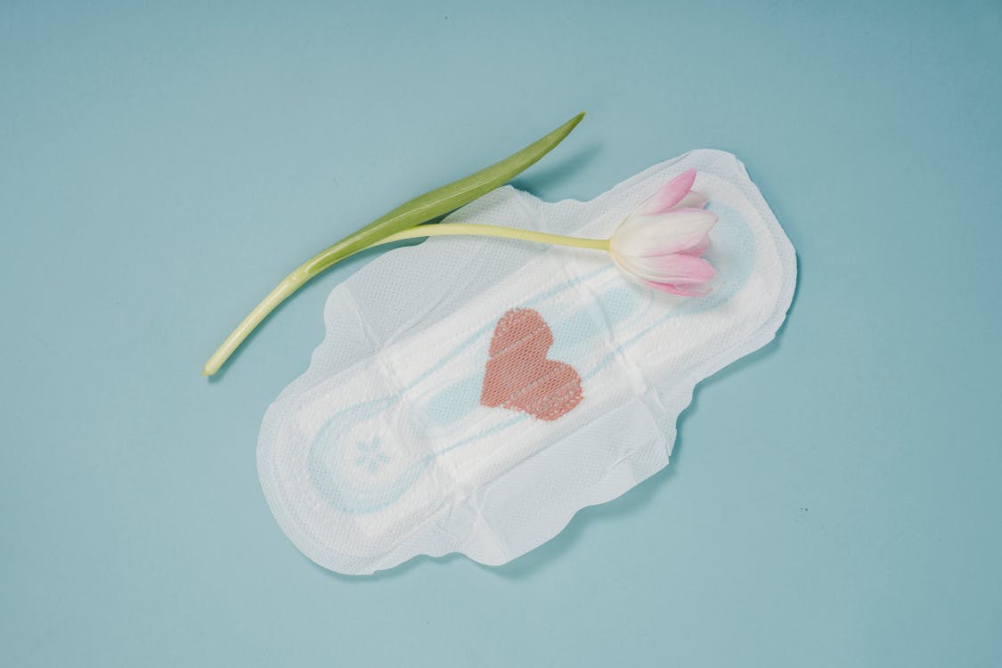 Free Feminine hygiene pad and pink tulip placed on blue background Stock Photo