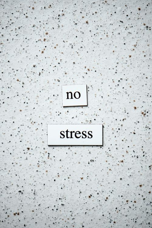 Free Minimalist text displaying 'no stress' on a textured speckled surface, promoting calmness. Stock Photo