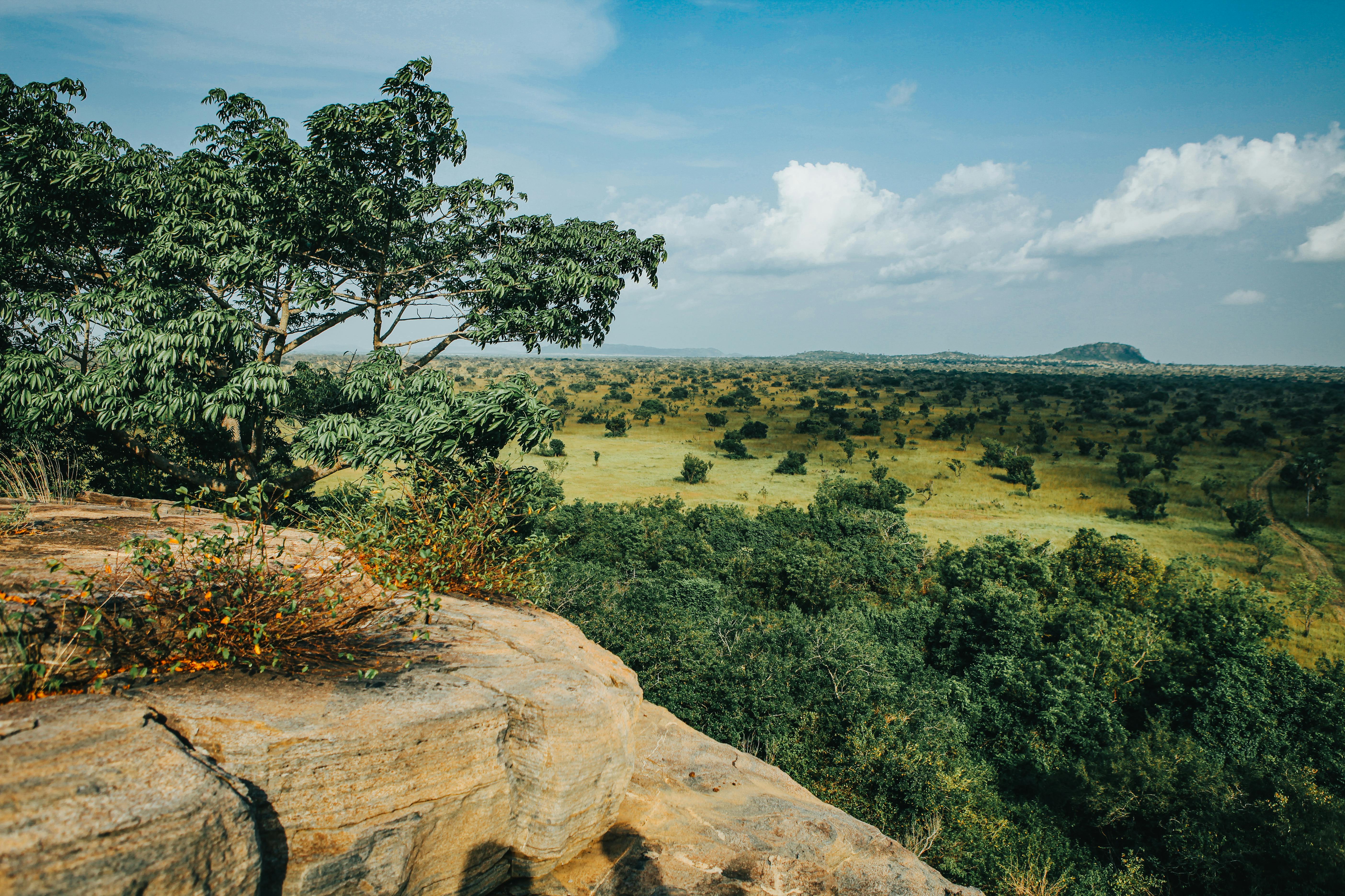 Paysage de savane au Burkina Faso