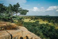 Breathtaking view of the African savanna with lush greenery and a clear blue sky.