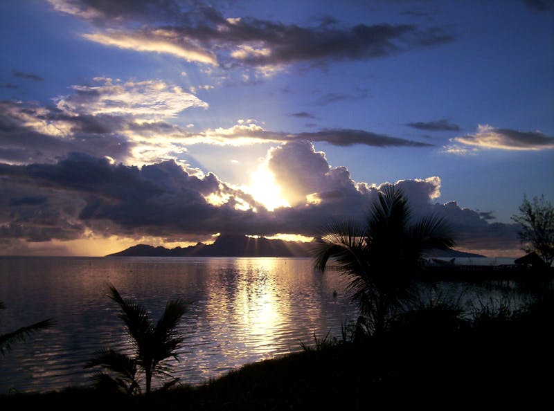 Assistive Glove for Hand Tremors