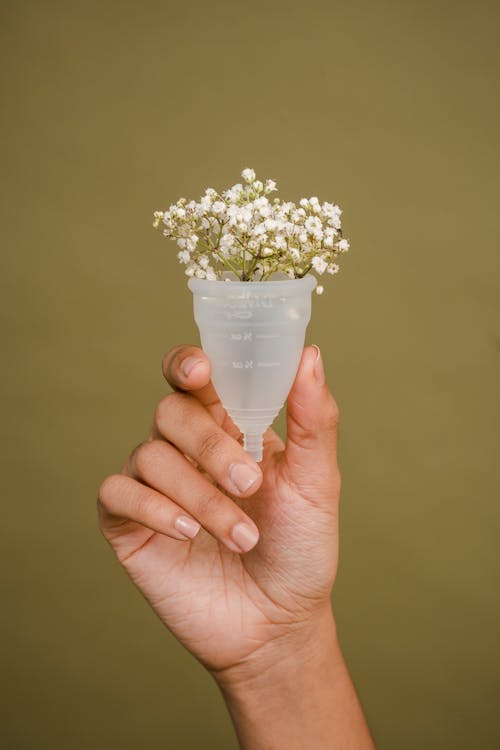 Free Faceless woman showing menstrual cup with tender white flowers Stock Photo