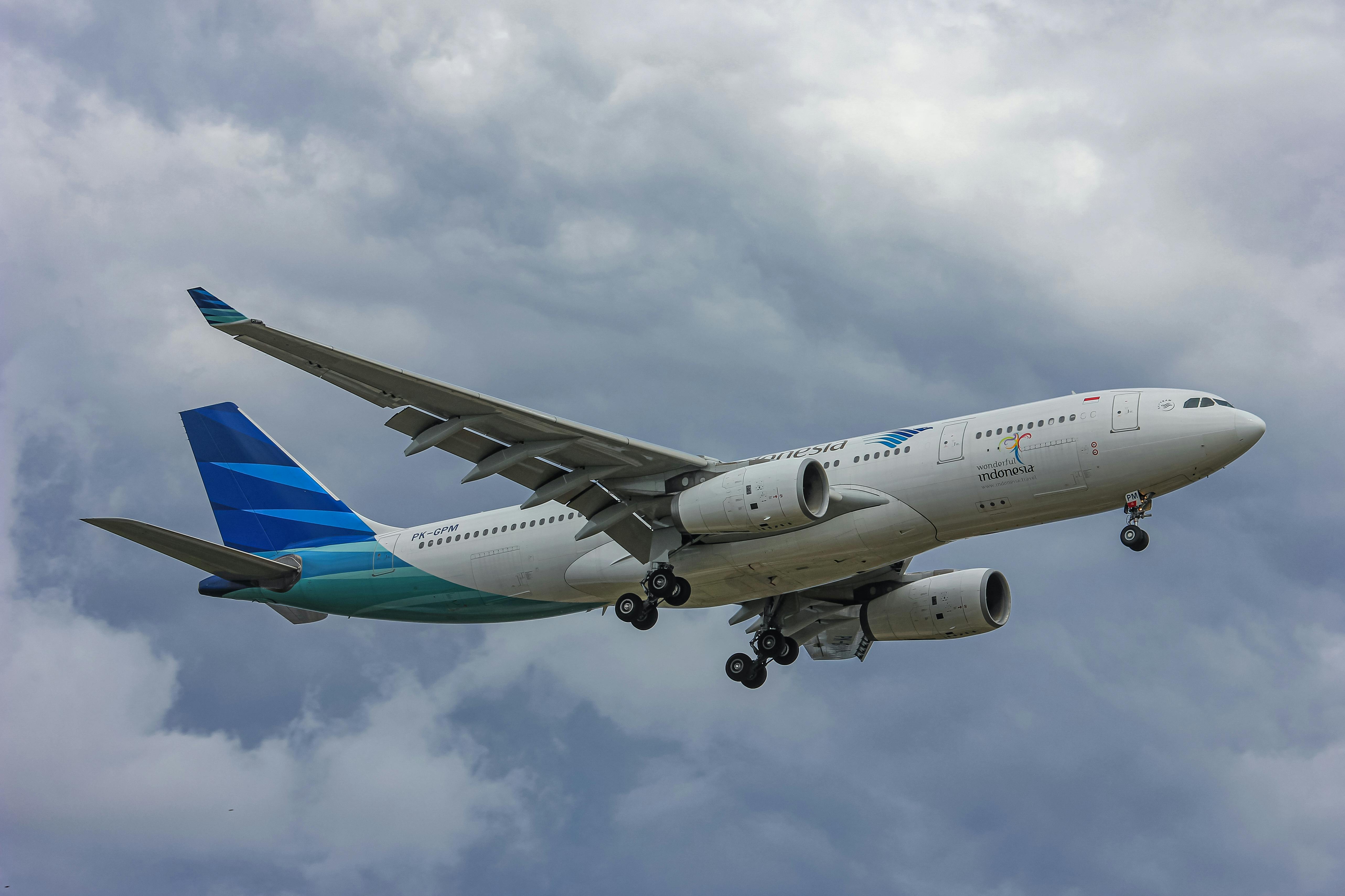 Wildlife Removal in Riverdale: Managing Raccoons and Squirrels in the Bronx's Wooded Hillside Neighborhood