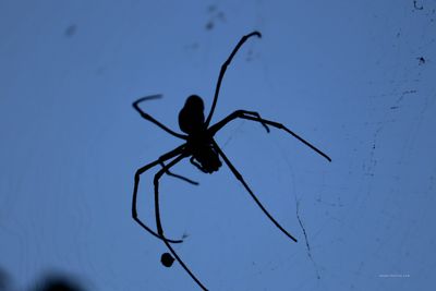 Puja Samagri