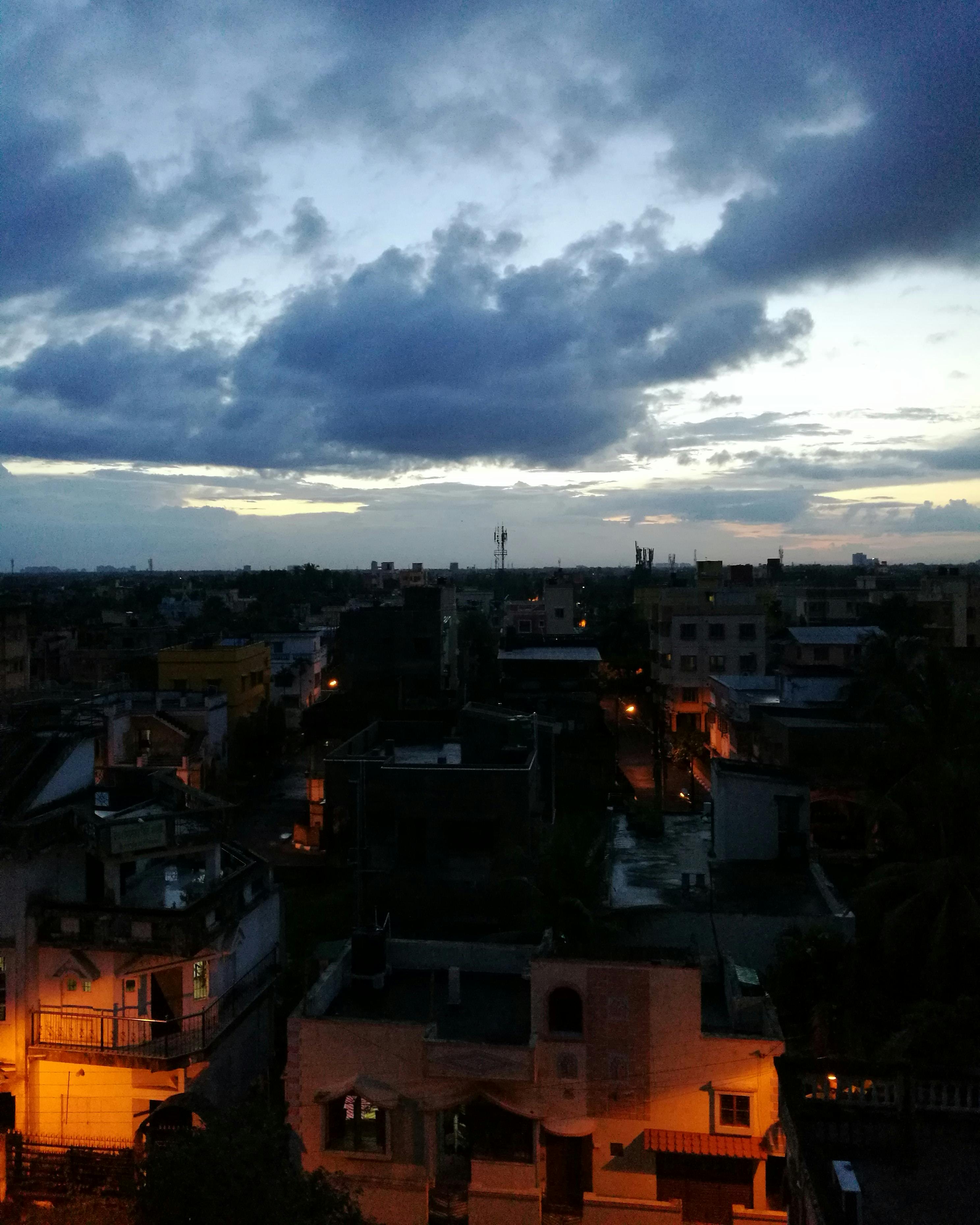 Sinkhole in a landscaped yard