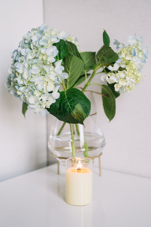 White Flower s and Green Leaves on Clear Flower Vase