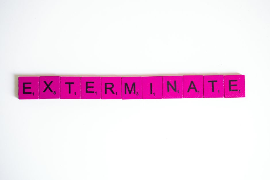 Pink Scrabble tiles spelling "exterminate" on a white background for creative design.