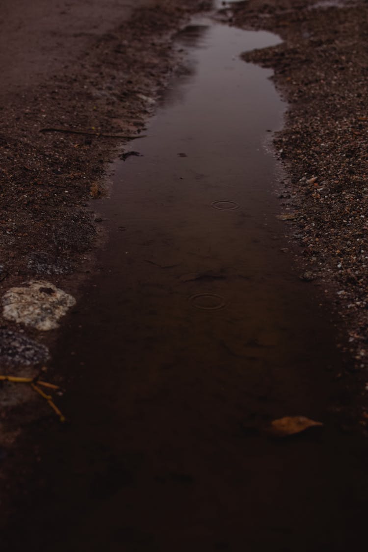 Brown And Gray Stones On Body Of Water