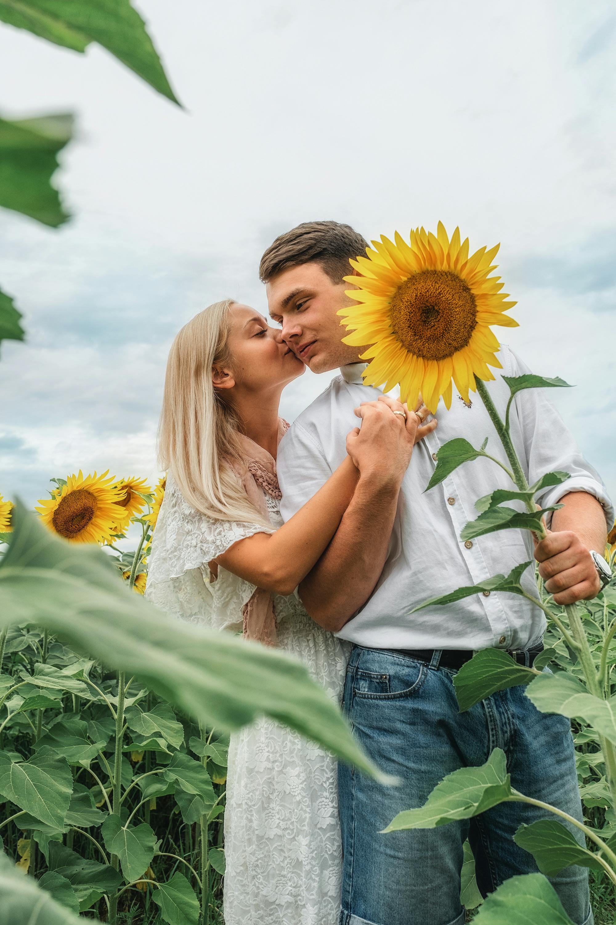 Cheerful couple embracing on sunflowers field · Free Stock Photo