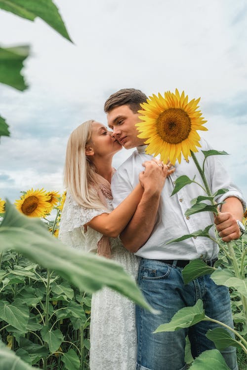 Cheerful couple embracing on sunflowers field