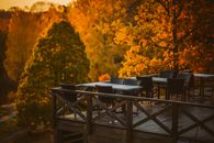 Scenic deck overlooking vibrant autumn foliage in Solna, Stockholm County.