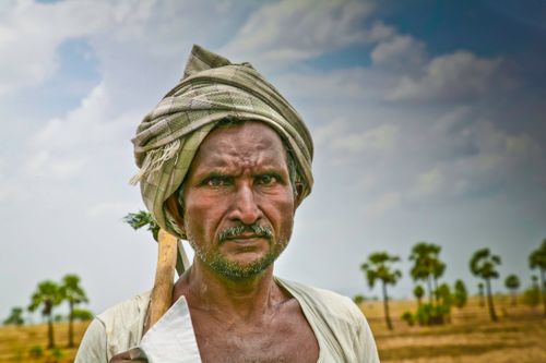 Free A senior Indian farmer wearing a turban stands in a field in Amaravathi. Captured in vibrant detail. Stock Photo
