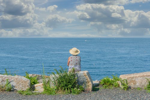 A Back View of a Woman Looking at the Ocean