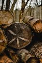 A Close-Up Shot of Stacked Tree Trunks