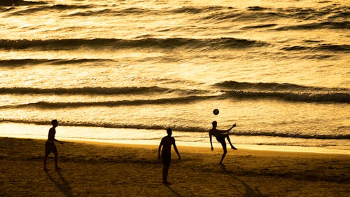 Základová fotografie zdarma na téma hraní, koule, moře