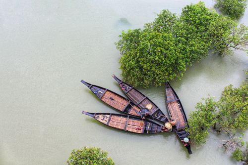 Free Overhead shot of wooden boats navigating among green trees in a serene river setting. Stock Photo