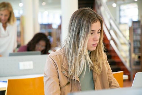 Foto d'estoc gratuïta de aprendre, biblioteca, buscar