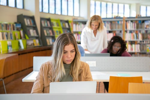 Free Concentrated young lady in casual clothes browsing laptop while preparing for exams in library of university with multiracial students Stock Photo