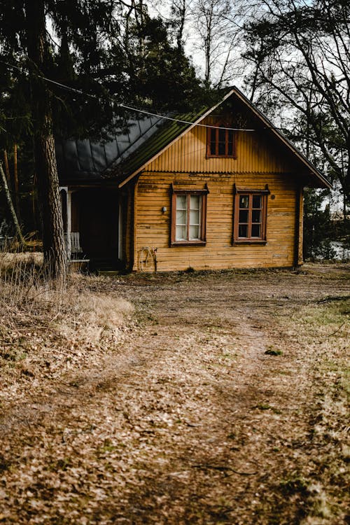 A Wooden Cabin
