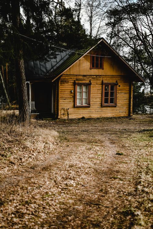 Free Cozy wooden cabin amidst a forest setting in Helsinki, Finland. Stock Photo