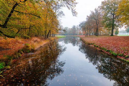 Free Tranquil river surrounded by vivid autumn trees reflecting in calm water during fall season. Stock Photo