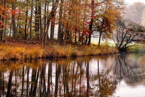 Free Tranquil autumn scenery with colorful trees reflected on a calm lake. Stock Photo