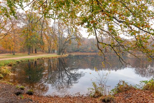Free stock photo of autumn, beauty, bright Stock Photo