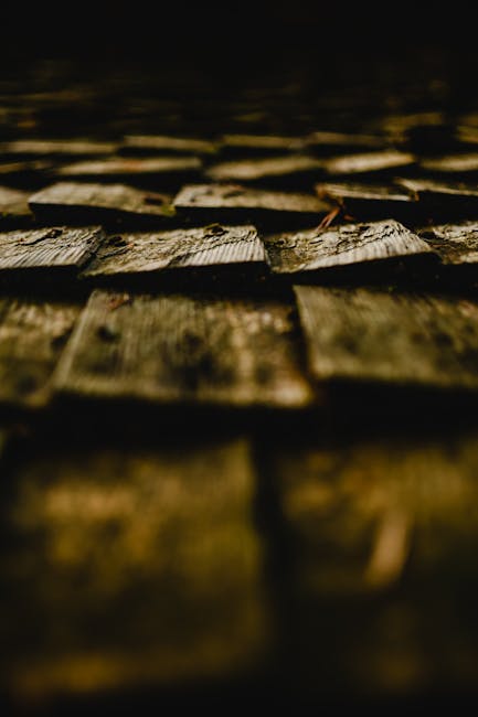Photo by Eva Bronzini Close-up of dark weathered wooden shingles, capturing texture and depth in soft lighting.