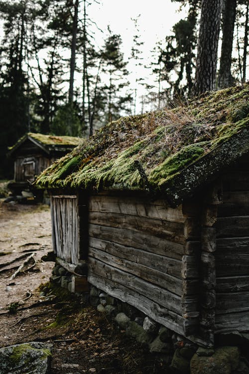 Wooden Hut with Moss on Roof