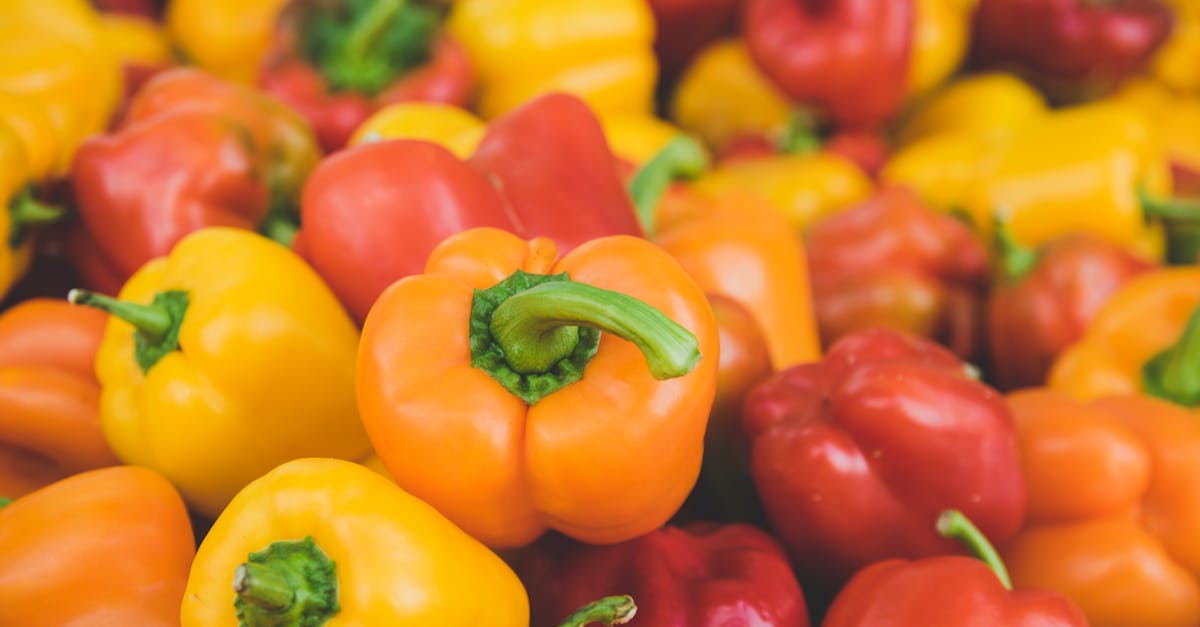 Where do bell peppers come from