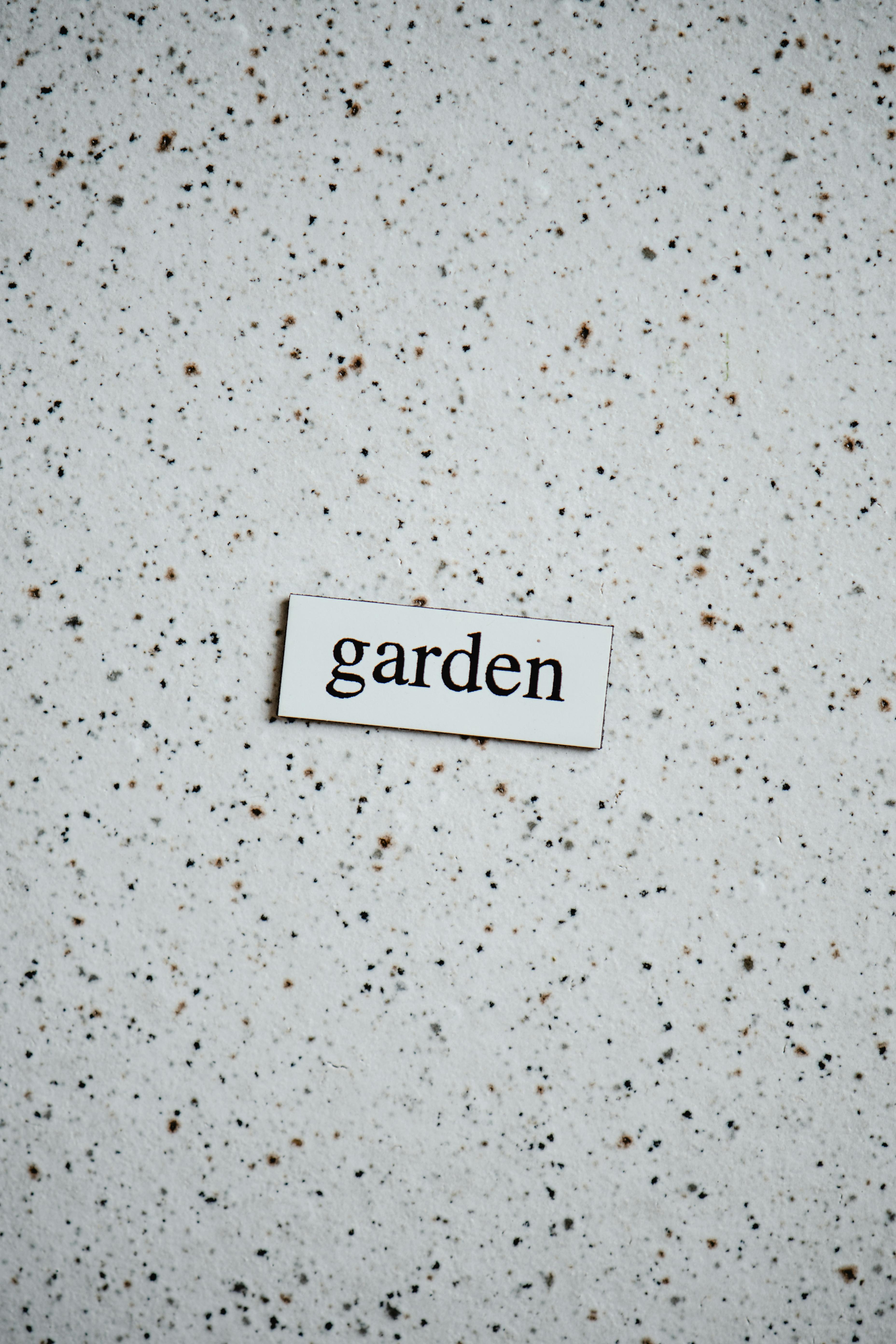 Moderner Garten mit minimalistischer Gestaltung