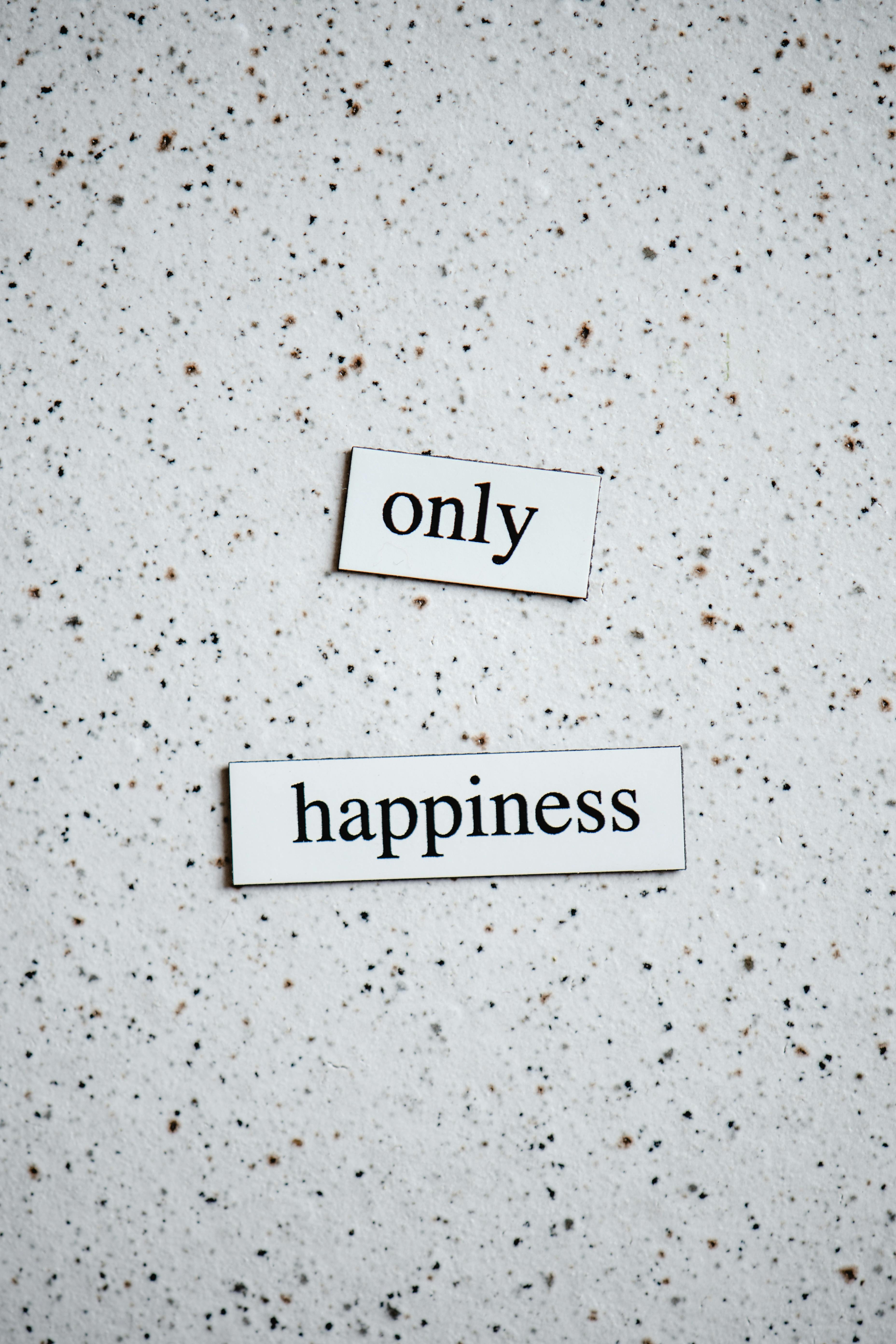 Buddha S Tales For Young And Old Volume 2 Text Only