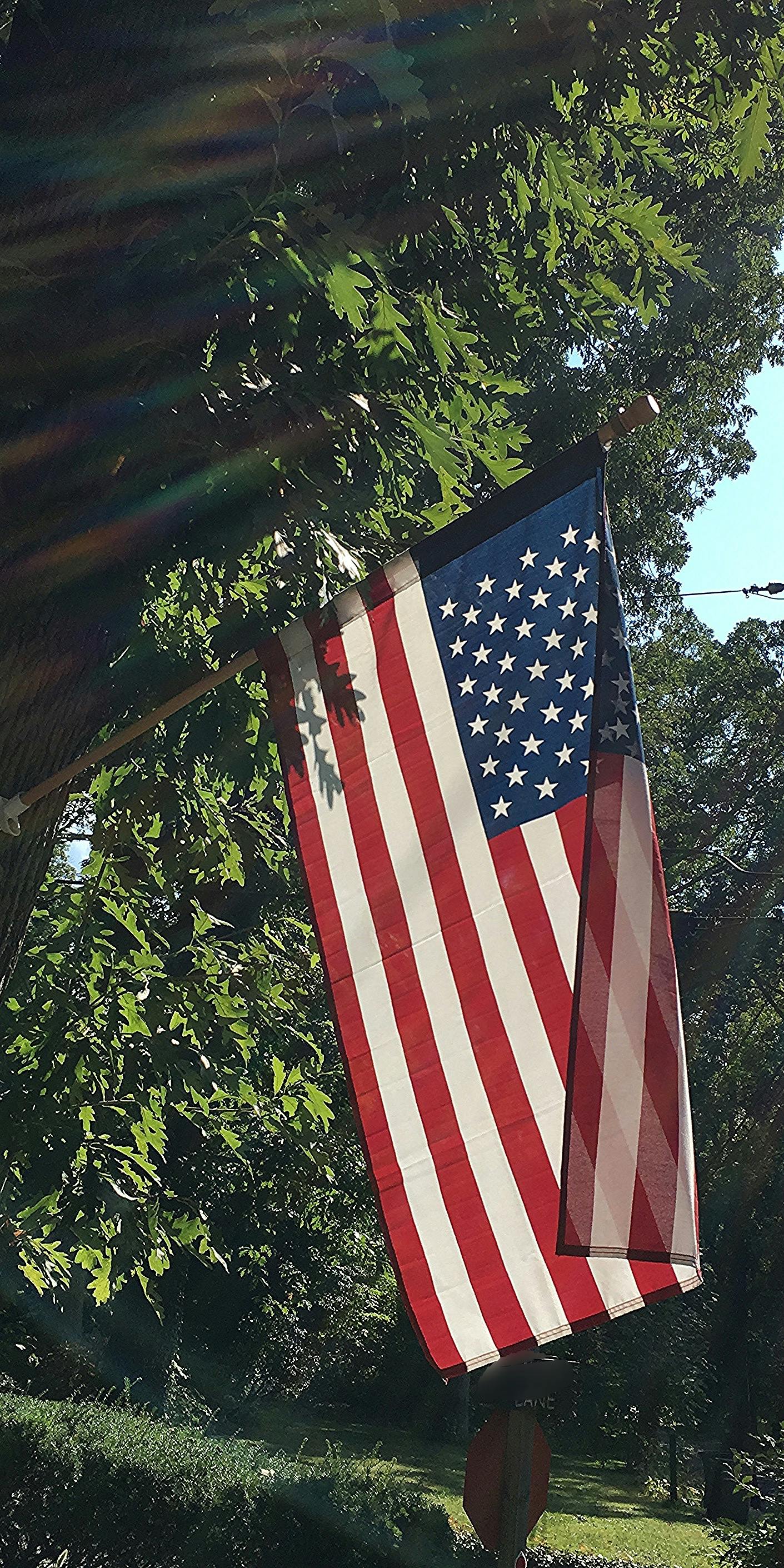 Free stock photo of america, American flag, flag