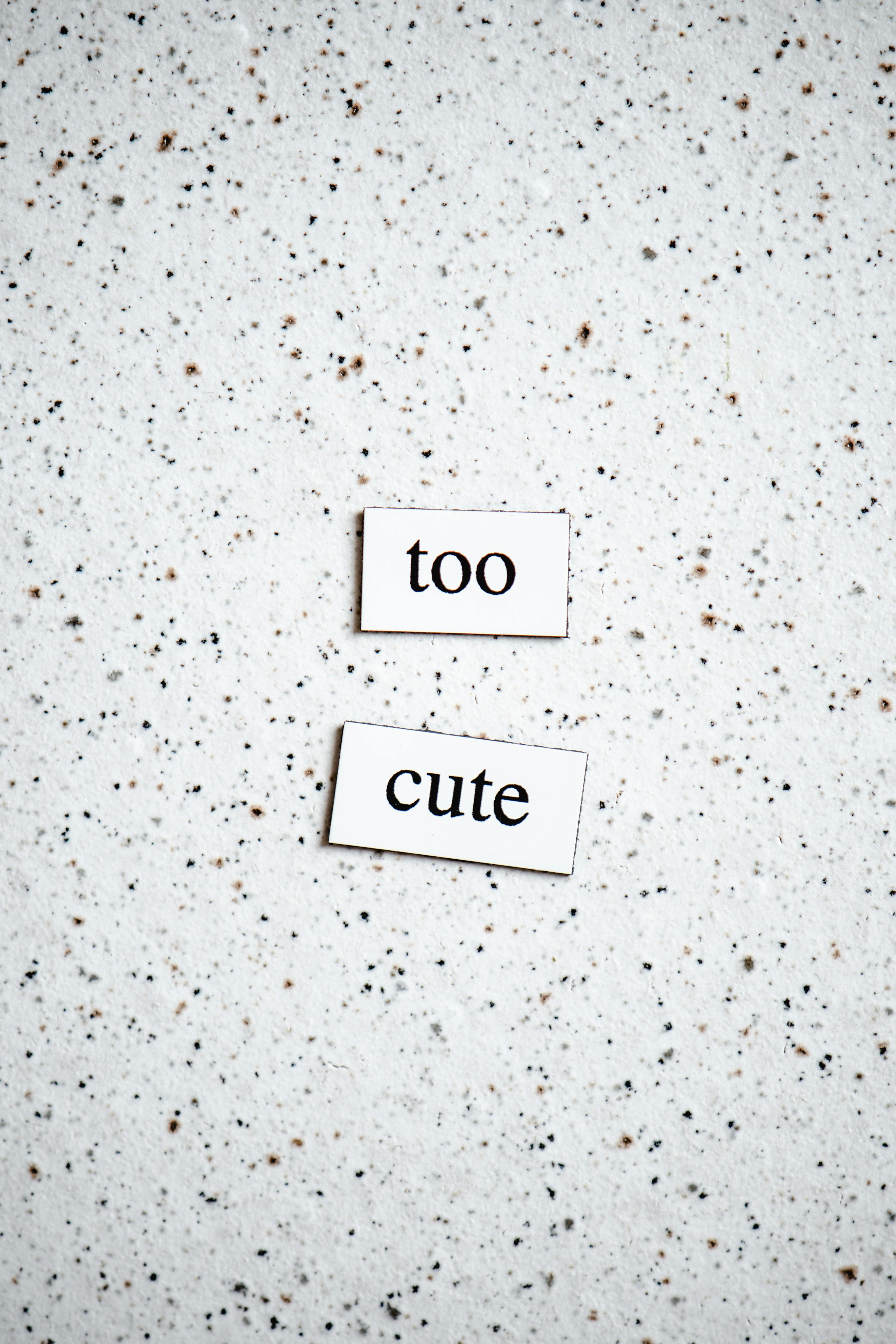 A minimalist design featuring two labels with the phrase 'too cute' on a speckled surface.